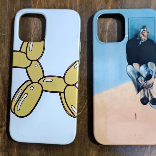 iPhone 12 Pro cases unused, all together