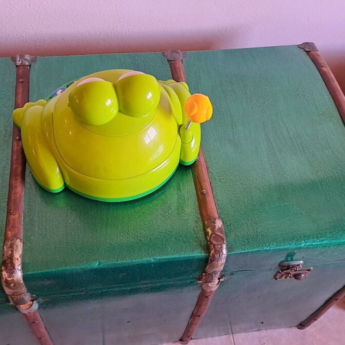 Frog toy bright used with batteries