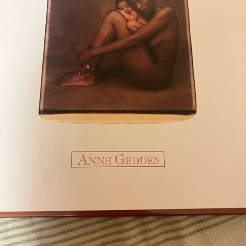 Anne Geddes Pregnancy Diary new