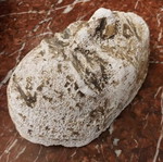 Mask used 23x15cm