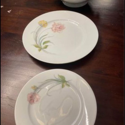 Rosenthal dish set used, 24 shallow, 12 deep, 12 fruit, 12 dessert plates