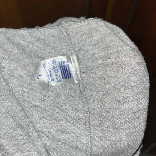 Gym shorts like new