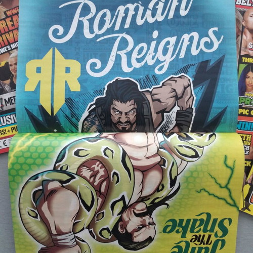 WWE Kids Magazines Bundle 10 Issues 2018 with Posters