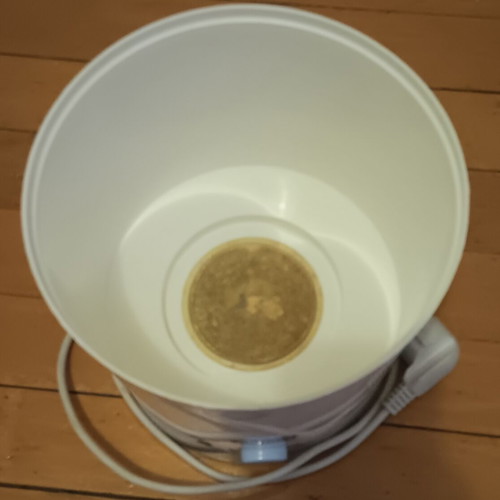 Chicco sterilizer used