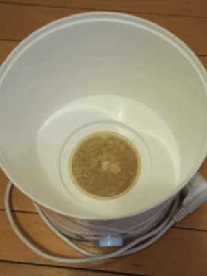 Chicco sterilizer used