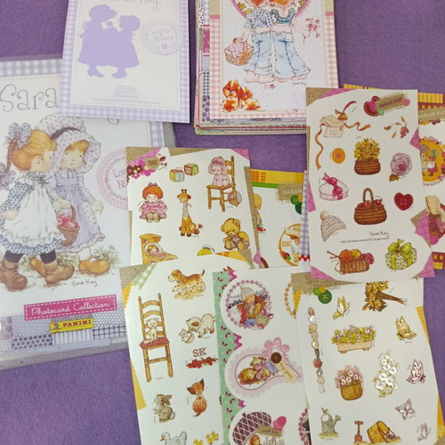 Panini Sarah Kay album with 100/108 cards and 8/8 glitter stickers like new
