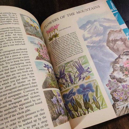 Wild Flowers 1962 book used, English edition