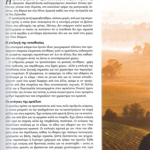 Wine Encyclopedia used, collective work Pierre Larousse, 2 books