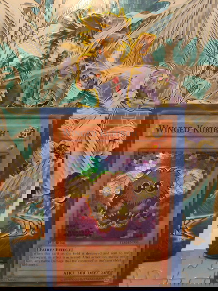 Winged Kuriboh TLM-EN005 1st Edition
