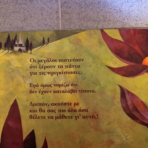 Children's book I Know Everything About Princesses like new