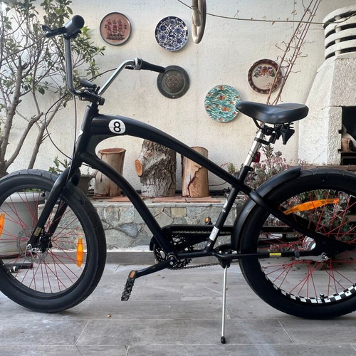 eco electric bicycle ECO-FLYING adult folding bike small ebike women electric bike 36v 10ah