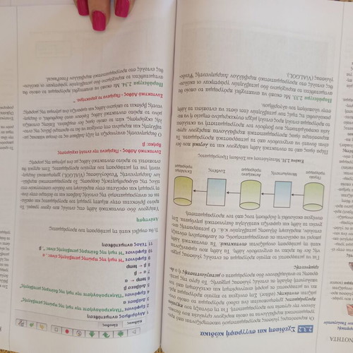 Introduction to Computer Science Principles textbook used, 2nd Grade Lyceum