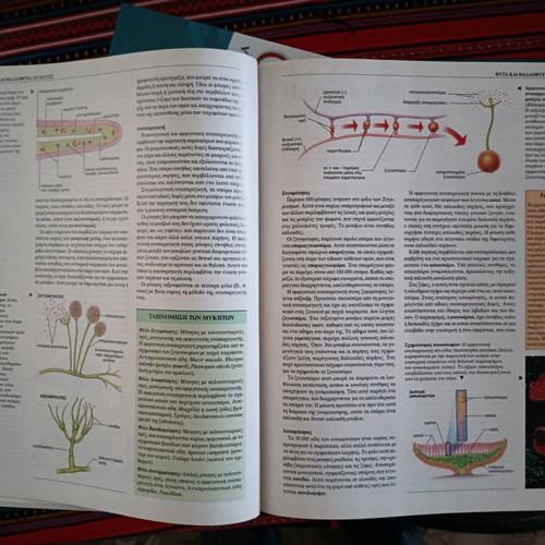 Grand Larousse encyclopedia 9 volumes like new, 2001 edition