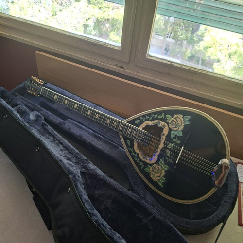 Bouzouki 8-string new with pickup and case by Stamkos