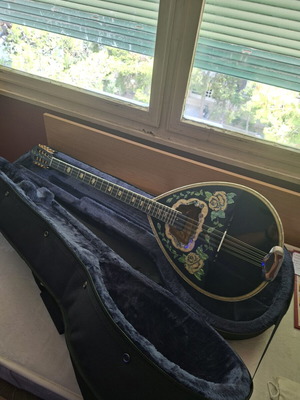 Bouzouki 8-string new with pickup and case by Stamkos