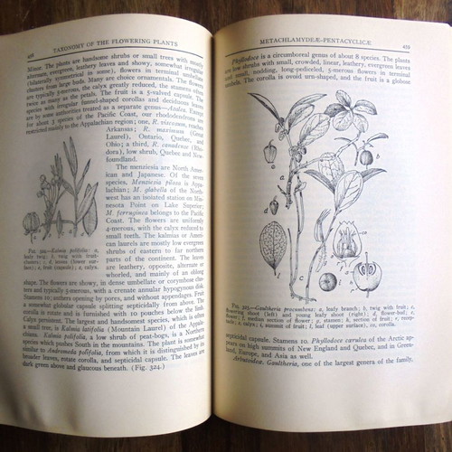 Taxonomy of Flowering Plants book used with rich illustrations
