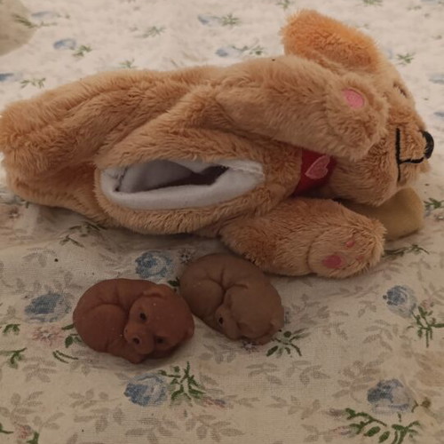 Mummy Surprise Shabam plush dog set like new