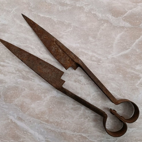 Vintage sheep shears used