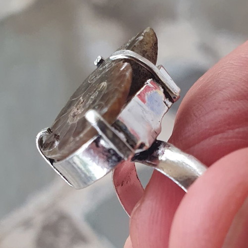 Ring fossilised ammonite silver plated size USA 5-5.5 new