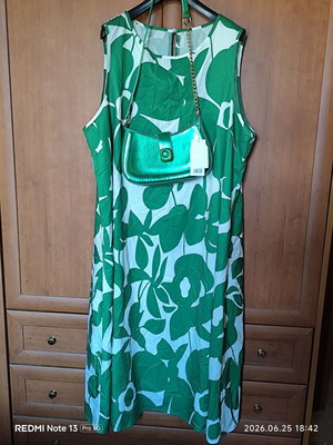 Shein dress 3XL green and white with metallic green shoulder bag new