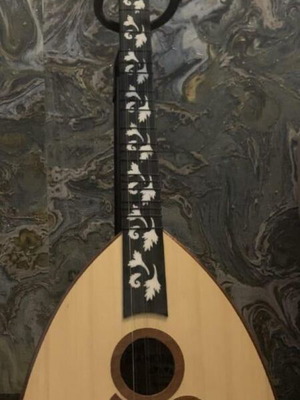 Arabic buzuk with quartertone frets, original case and 8 picks
