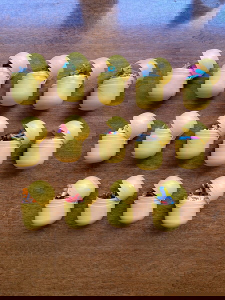 14 Kinder surprise complete figures