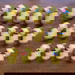  14 Kinder surprise complete figures