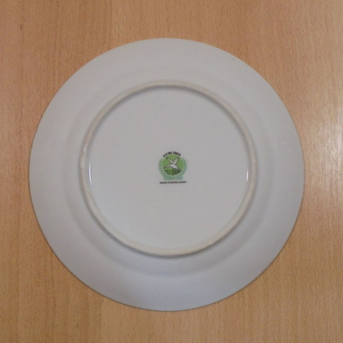 Biman Bangladesh Airlines old promotional ceramic plate used