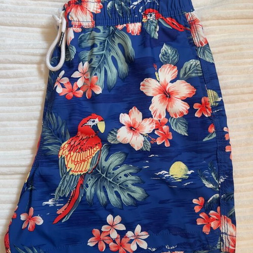 Abercrombie and Fitch swimwear like new, size L, blue multicolor