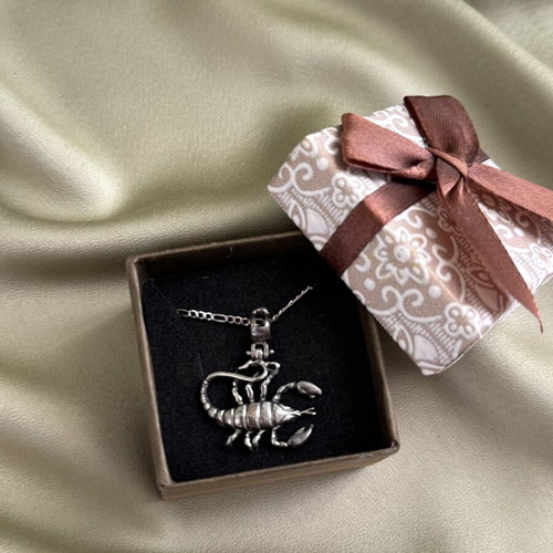 Scorpion necklace used, in good condition