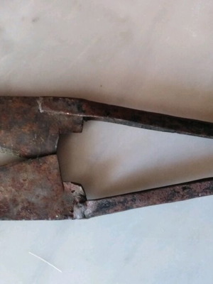 Old sheep shears used for sheep shearing