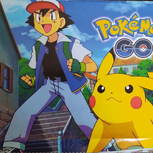 Pokémon double poster used