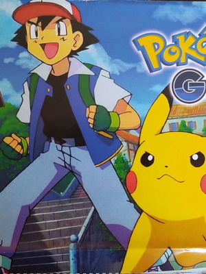 Pokémon double poster used