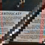  Ξύλινη εικονίτσα Αγίας Αναστασίας της Φαρμακολυτρίας