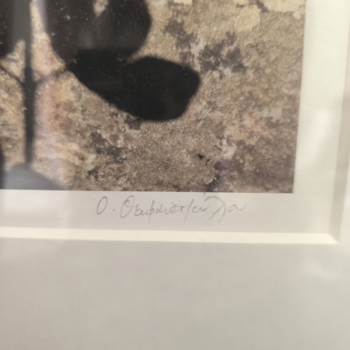 Artwork with signature and beautiful frame like new