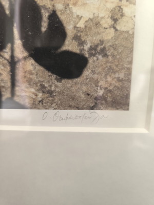 Artwork with signature and beautiful frame like new