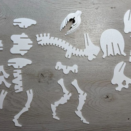 Triceratops Dinosaur Skeleton Puzzle new