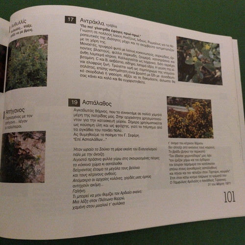 Me daskalo ti Fysi children's book new
