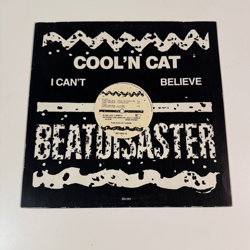 Cool ‘n Cat I Can’t Believe vinyl used, electronic