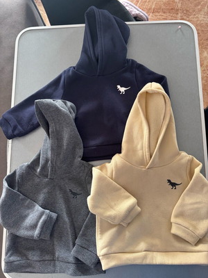 Φούτερ αγοριού μεταχειρισμένα, πακέτο 3, 9-12 μηνών