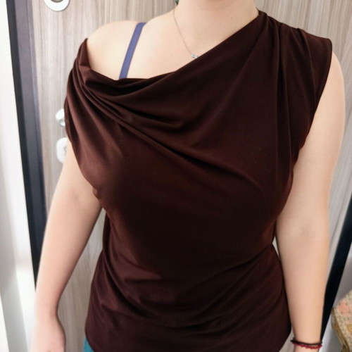 Creative Design Works women's brown top size Large like new