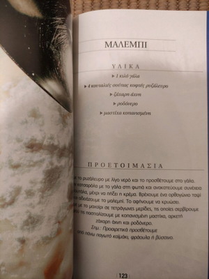 Authentic Recipes of the City cookbook like new