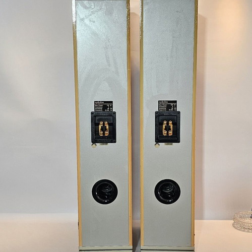 Audioline Cherry Momentum 2GR floor standing speakers used