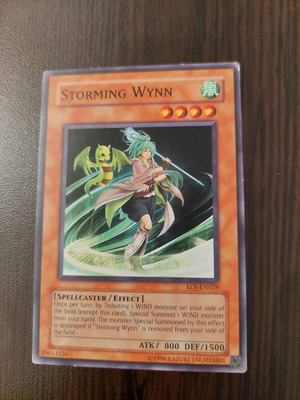 Κάρτα Yu-Gi-Oh Storming Wynn