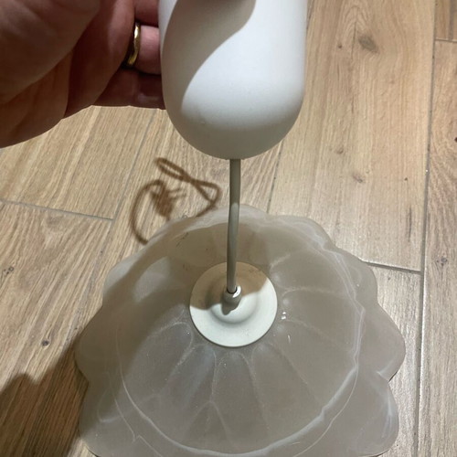 Ceiling light used, complete without any issues