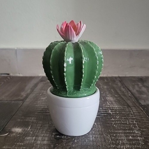 Decorative porcelain cactus new