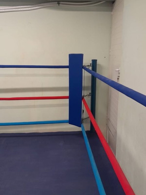 Boxing ring used, 4 by 4 meters