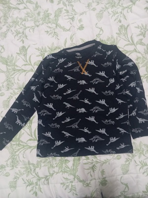 Mako Long-Sleeve Boys' T-Shirt with Dinosaur Design like new, size 4-6
