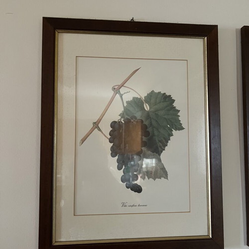 Wooden frames used, set of 3