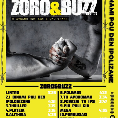 Zoro Buzz poster 60x45 cm new, high quality